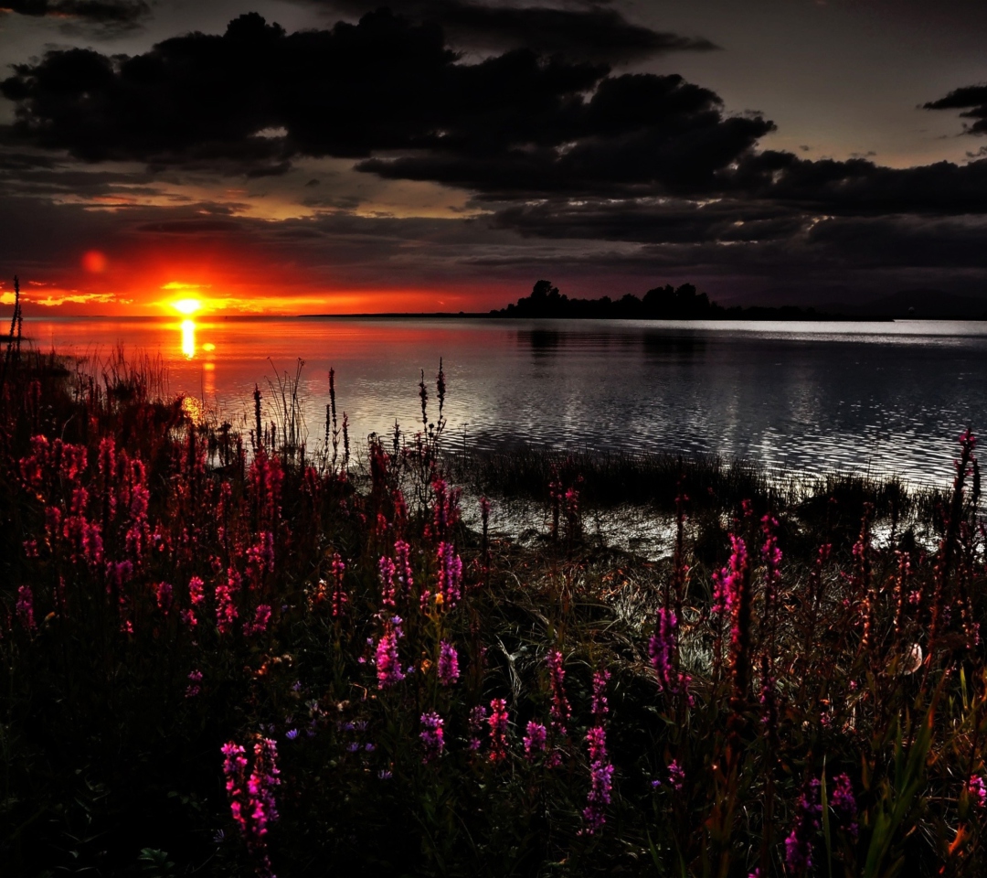 Flowers And Lake At Sunset wallpaper 1080x960