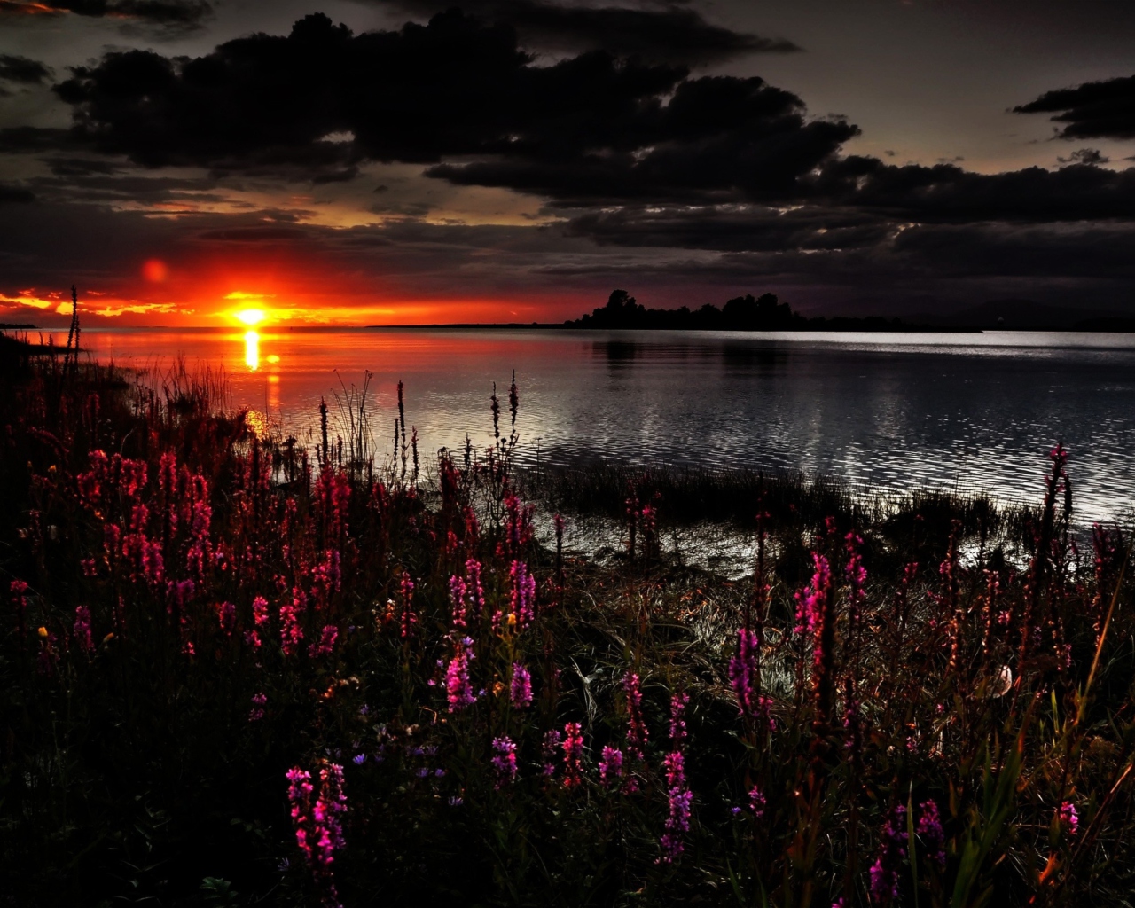 Screenshot №1 pro téma Flowers And Lake At Sunset 1280x1024