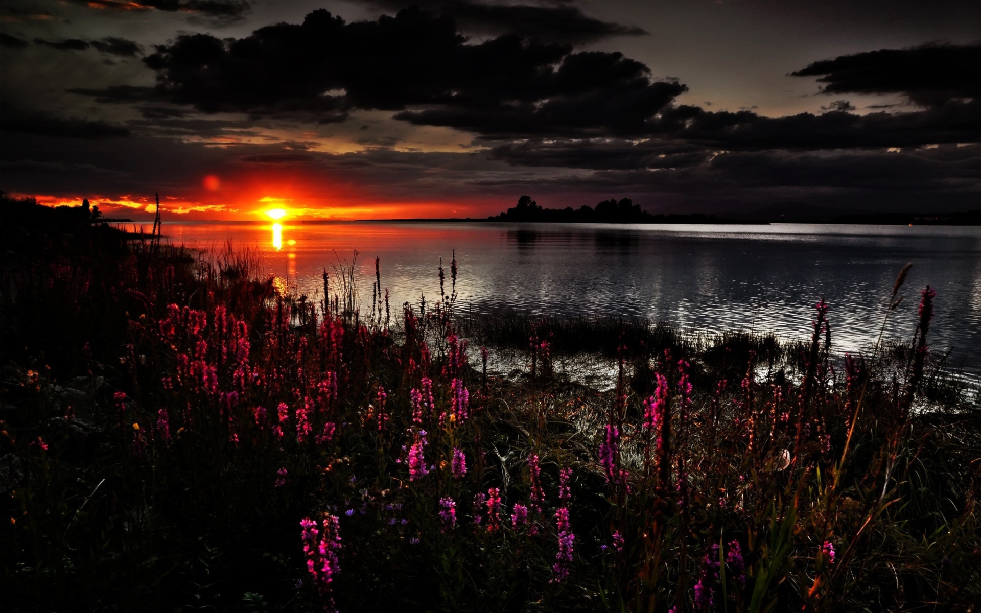 Sfondi Flowers And Lake At Sunset 1920x1200