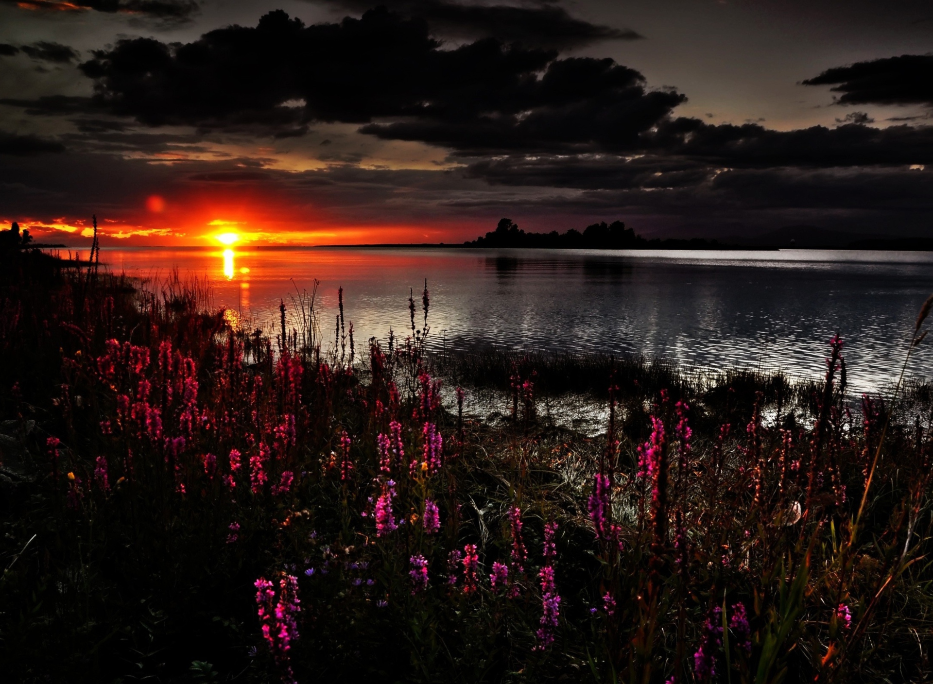 Sfondi Flowers And Lake At Sunset 1920x1408