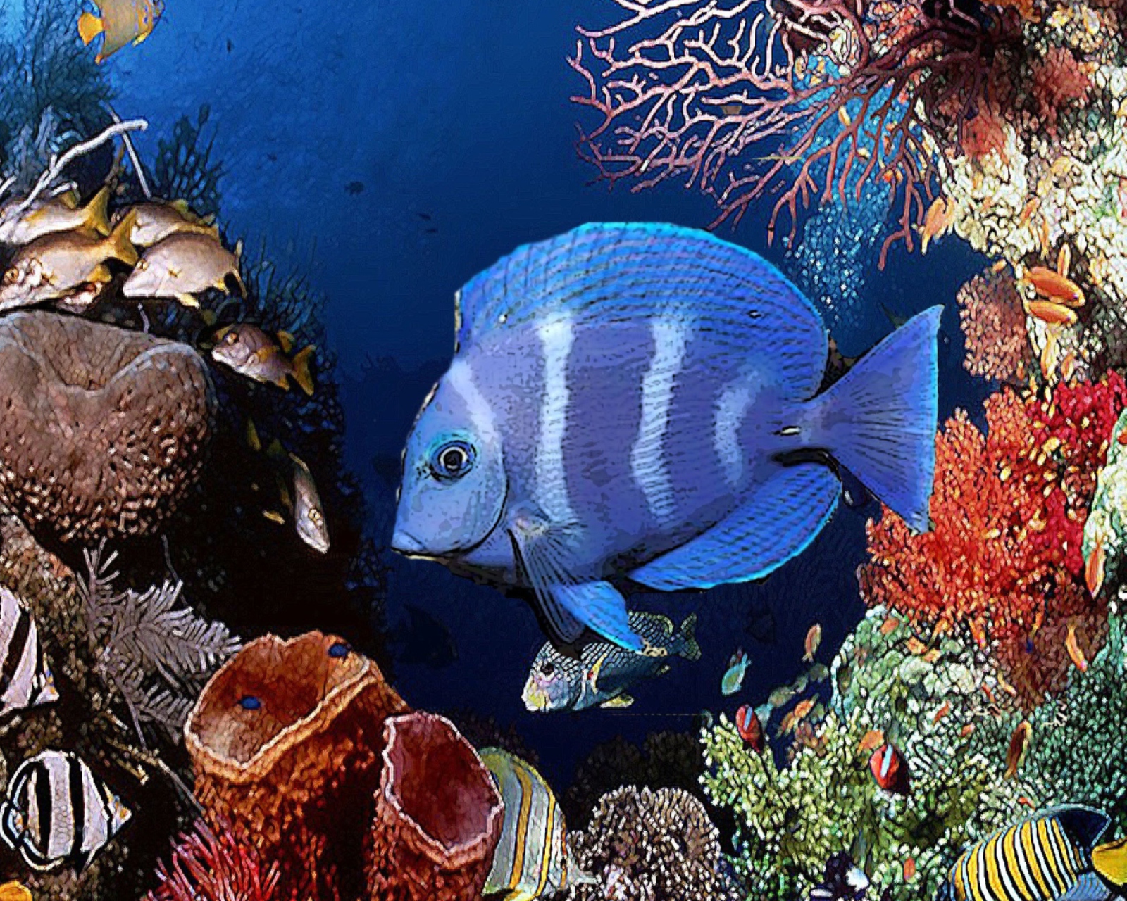 Tropical Blue Fish wallpaper 1600x1280