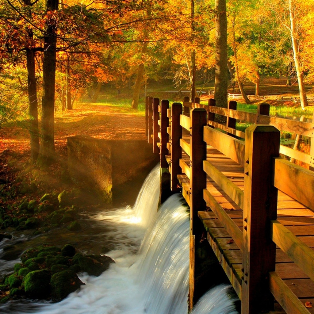 Das Wonderful Autumn Waterfall Wallpaper 1024x1024