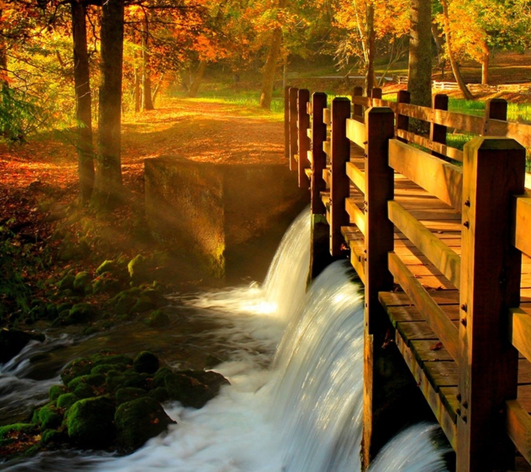 Das Wonderful Autumn Waterfall Wallpaper 1080x960