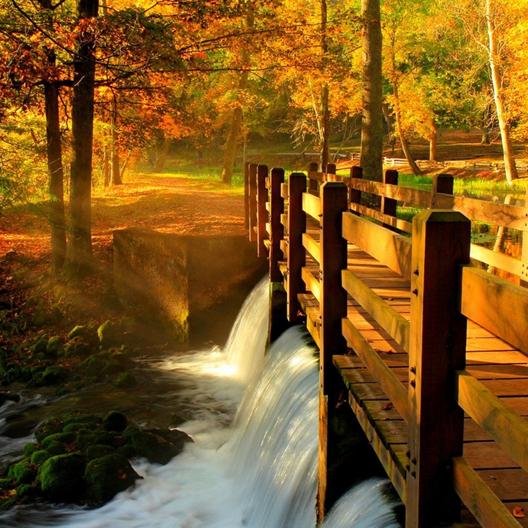 Sfondi Wonderful Autumn Waterfall 2048x2048