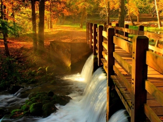 Das Wonderful Autumn Waterfall Wallpaper 320x240