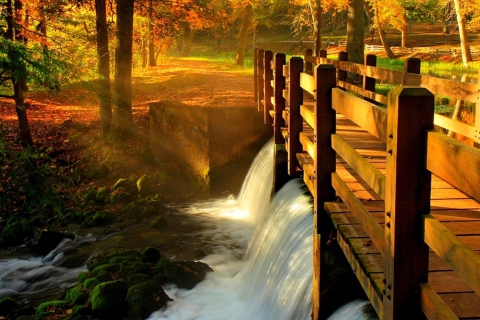 Fondo de pantalla Wonderful Autumn Waterfall 480x320