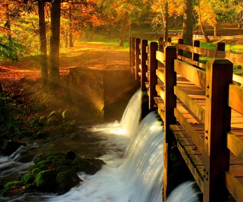Screenshot №1 pro téma Wonderful Autumn Waterfall 480x400