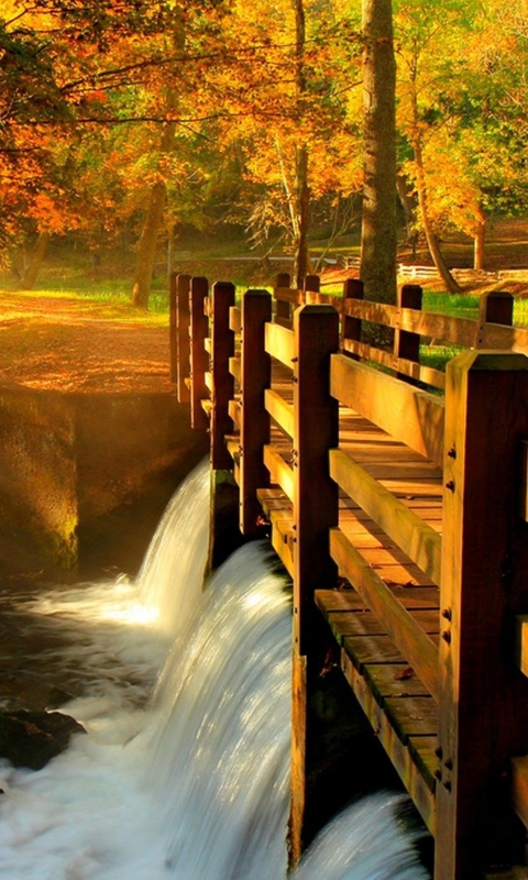 Das Wonderful Autumn Waterfall Wallpaper 480x800