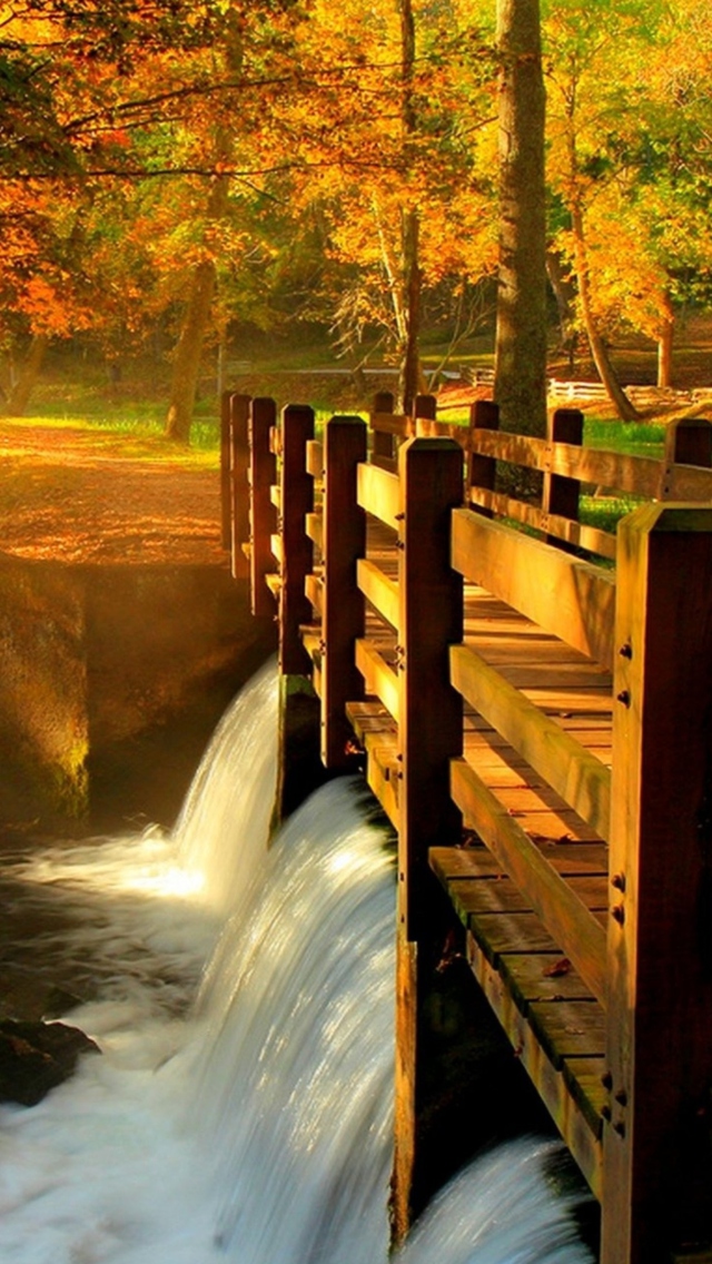 Wonderful Autumn Waterfall wallpaper 640x1136