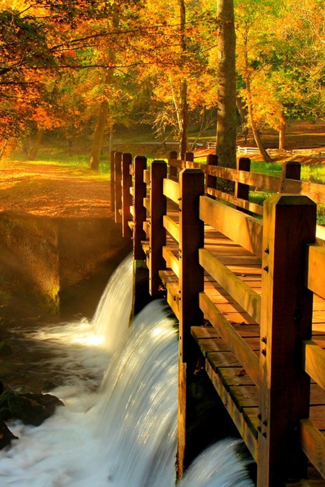 Sfondi Wonderful Autumn Waterfall 640x960