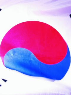 Fondo de pantalla South Korea Flag 240x320