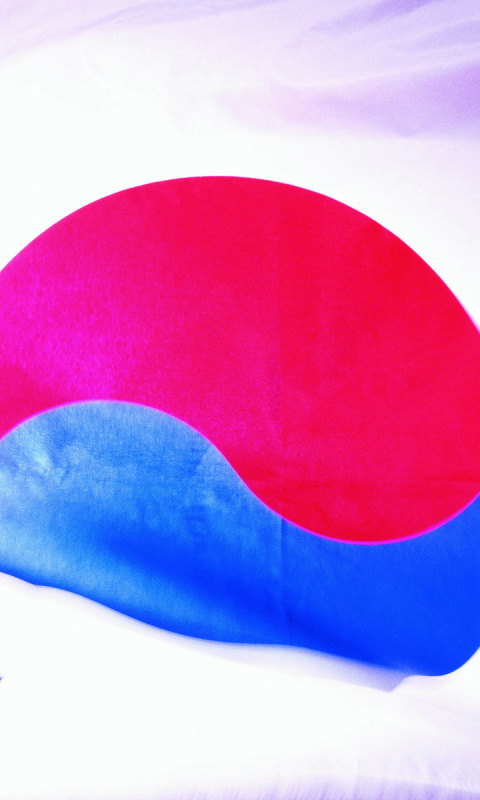 Das South Korea Flag Wallpaper 480x800
