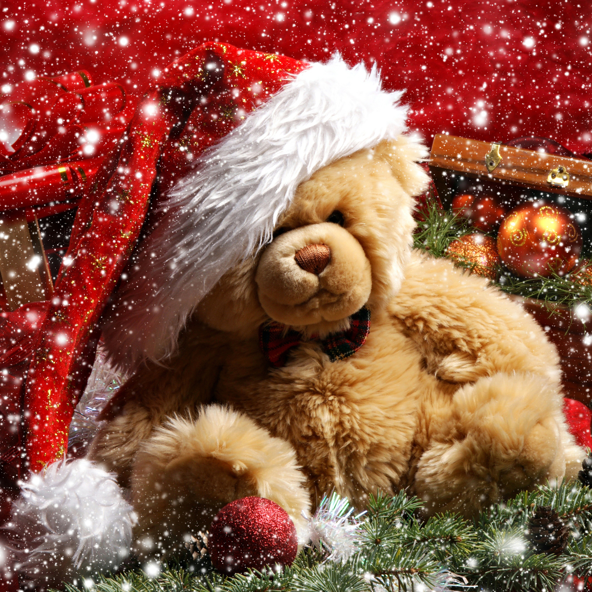 Christmas Teddy Bear wallpaper 2048x2048