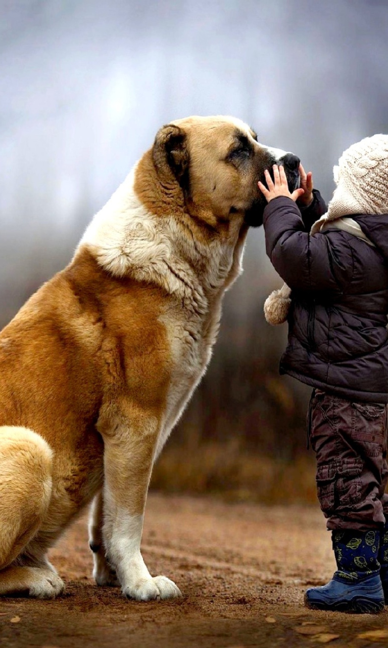 I Love Dogs wallpaper 768x1280