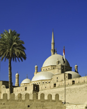 Das Citadel Cairo Wallpaper 176x220
