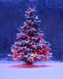 Обои Illumninated Christmas Tree 128x160