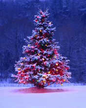 Das Illumninated Christmas Tree Wallpaper 176x220