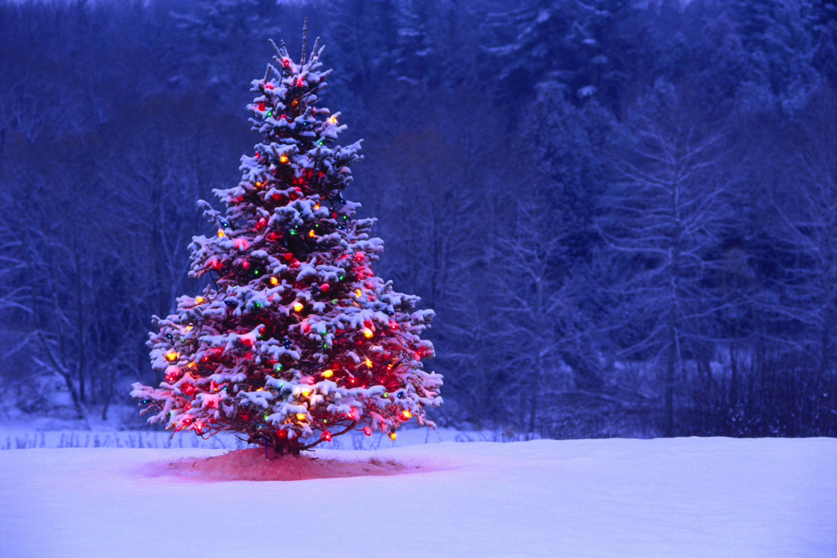 Screenshot №1 pro téma Illumninated Christmas Tree 2880x1920