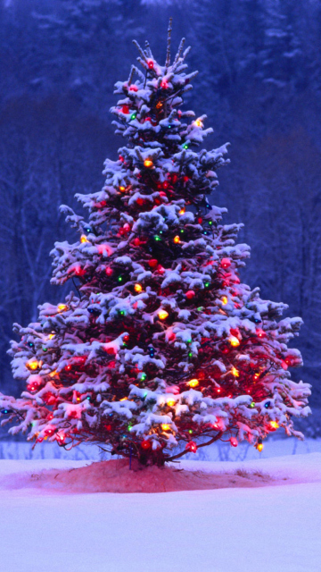 Fondo de pantalla Illumninated Christmas Tree 360x640