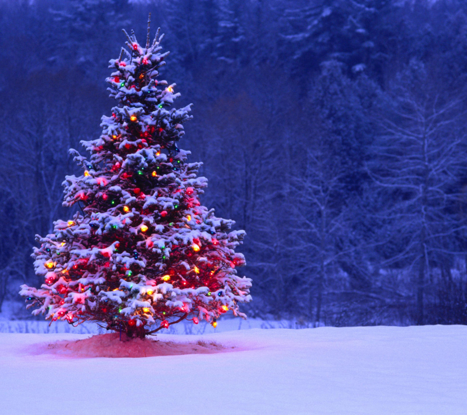 Обои Illumninated Christmas Tree 960x854