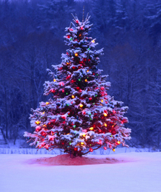 Kostenloses Illumninated Christmas Tree Wallpaper für 240x320