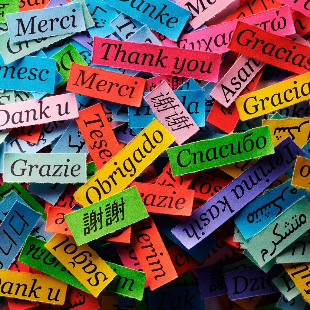 Pieces of Paper with Phrase Thank You wallpaper 1024x1024