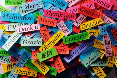 Pieces of Paper with Phrase Thank You wallpaper 480x320