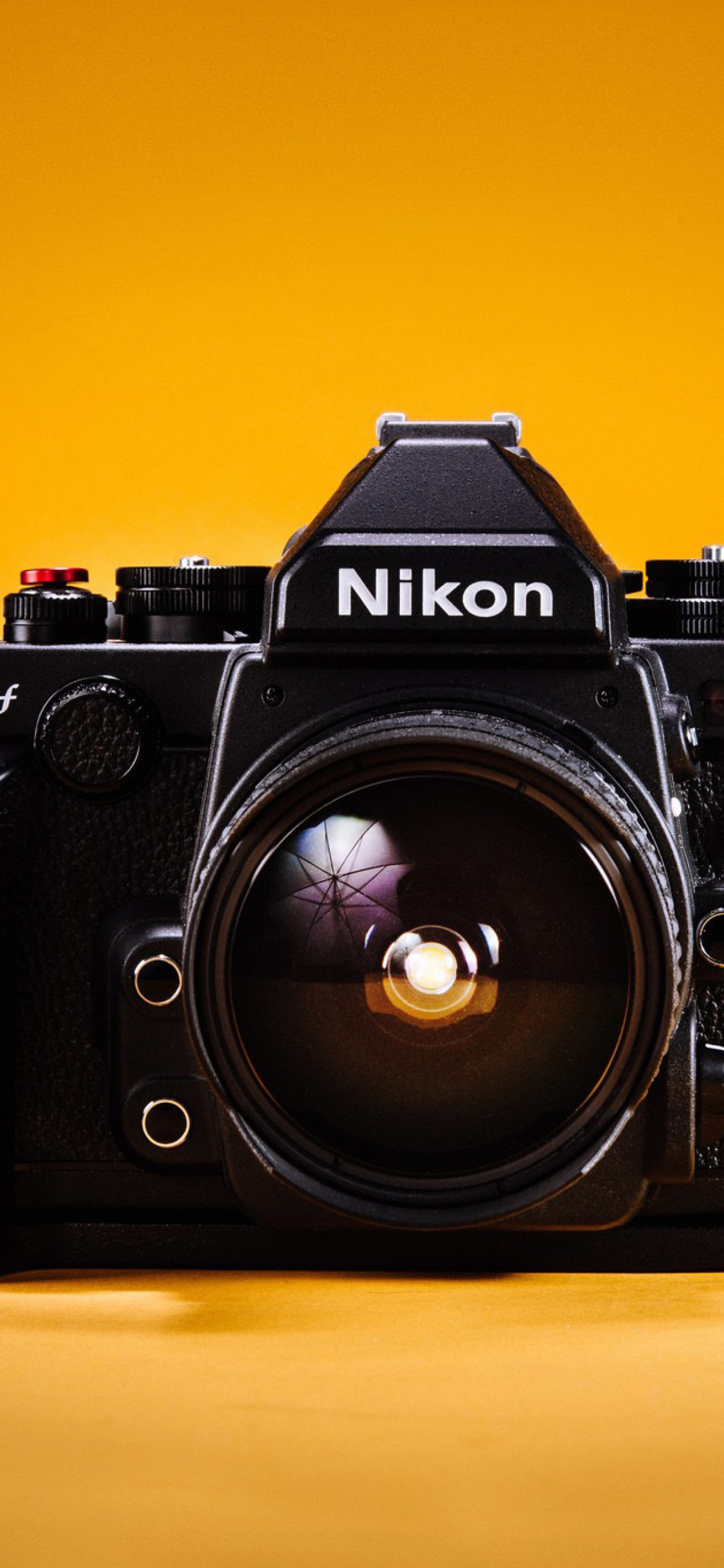 Das Nikon FX & DX Wallpaper 1170x2532