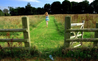 Run Away To Fields Picture for Android, iPhone and iPad