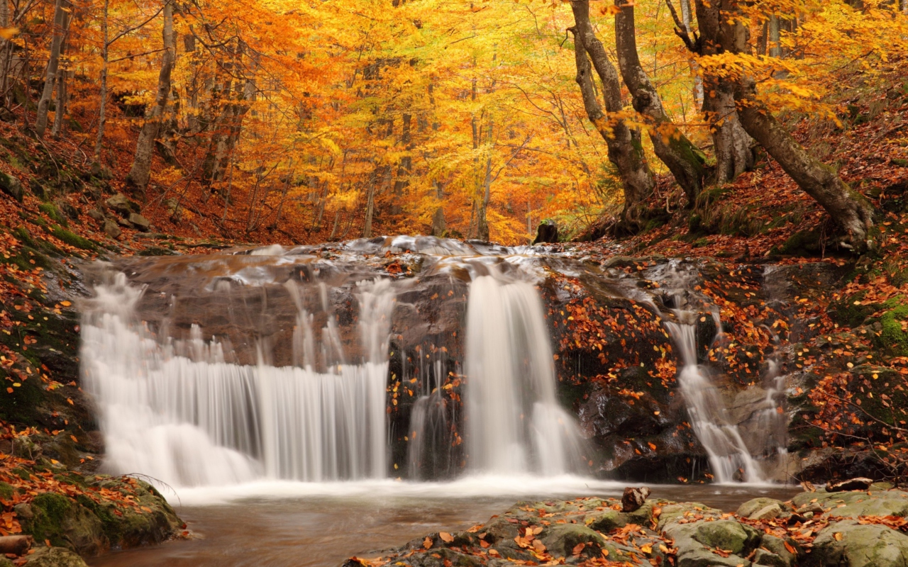 Autumn Waterfall wallpaper 1280x800