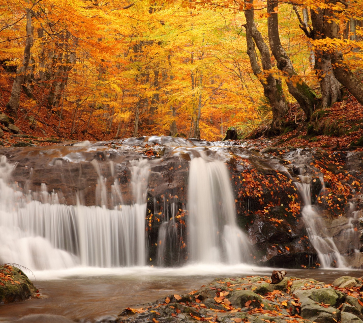Das Autumn Waterfall Wallpaper 1440x1280