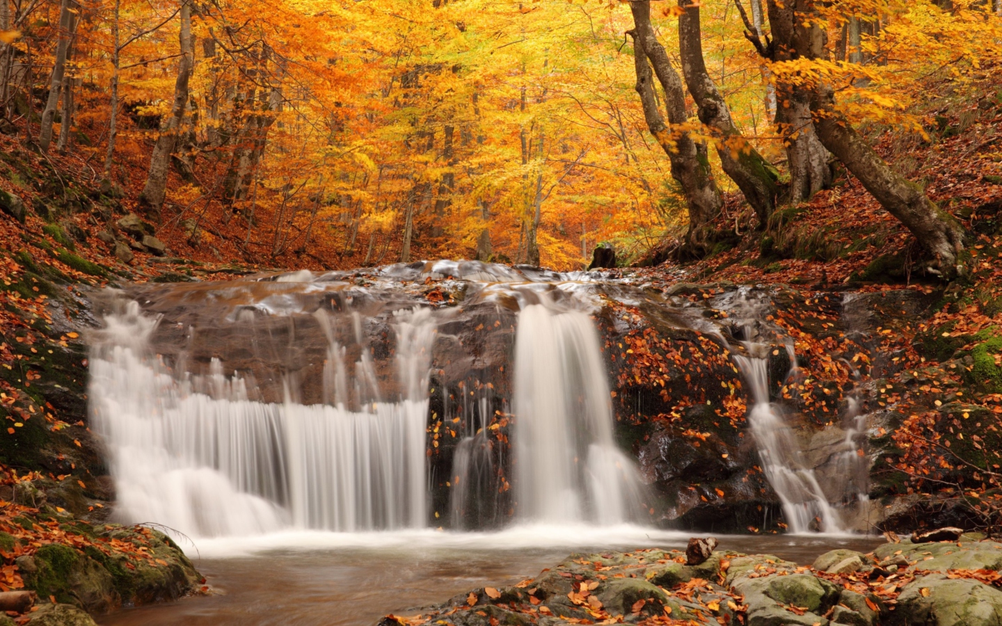 Screenshot №1 pro téma Autumn Waterfall 1440x900