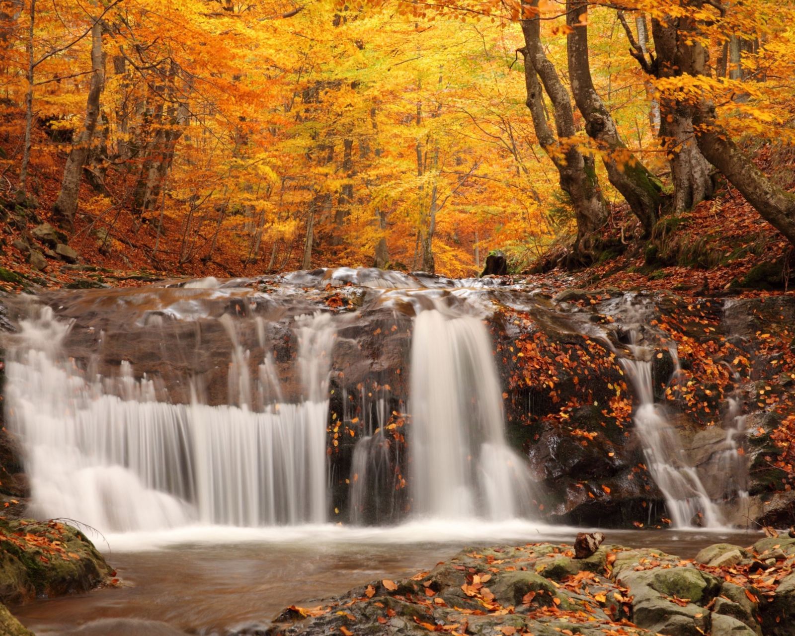 Screenshot №1 pro téma Autumn Waterfall 1600x1280
