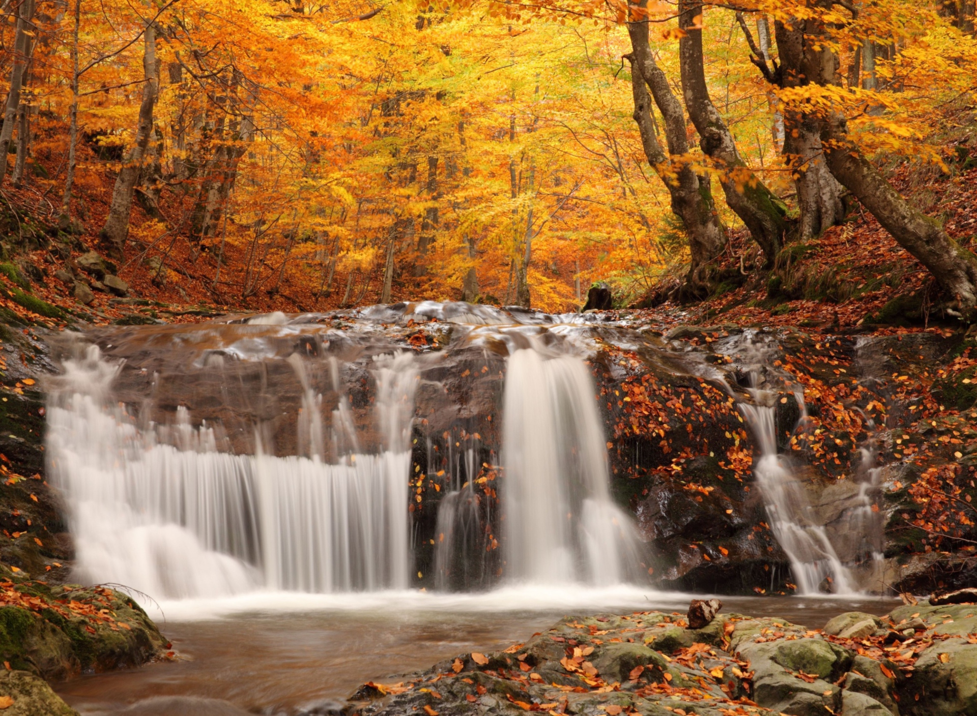 Обои Autumn Waterfall 1920x1408
