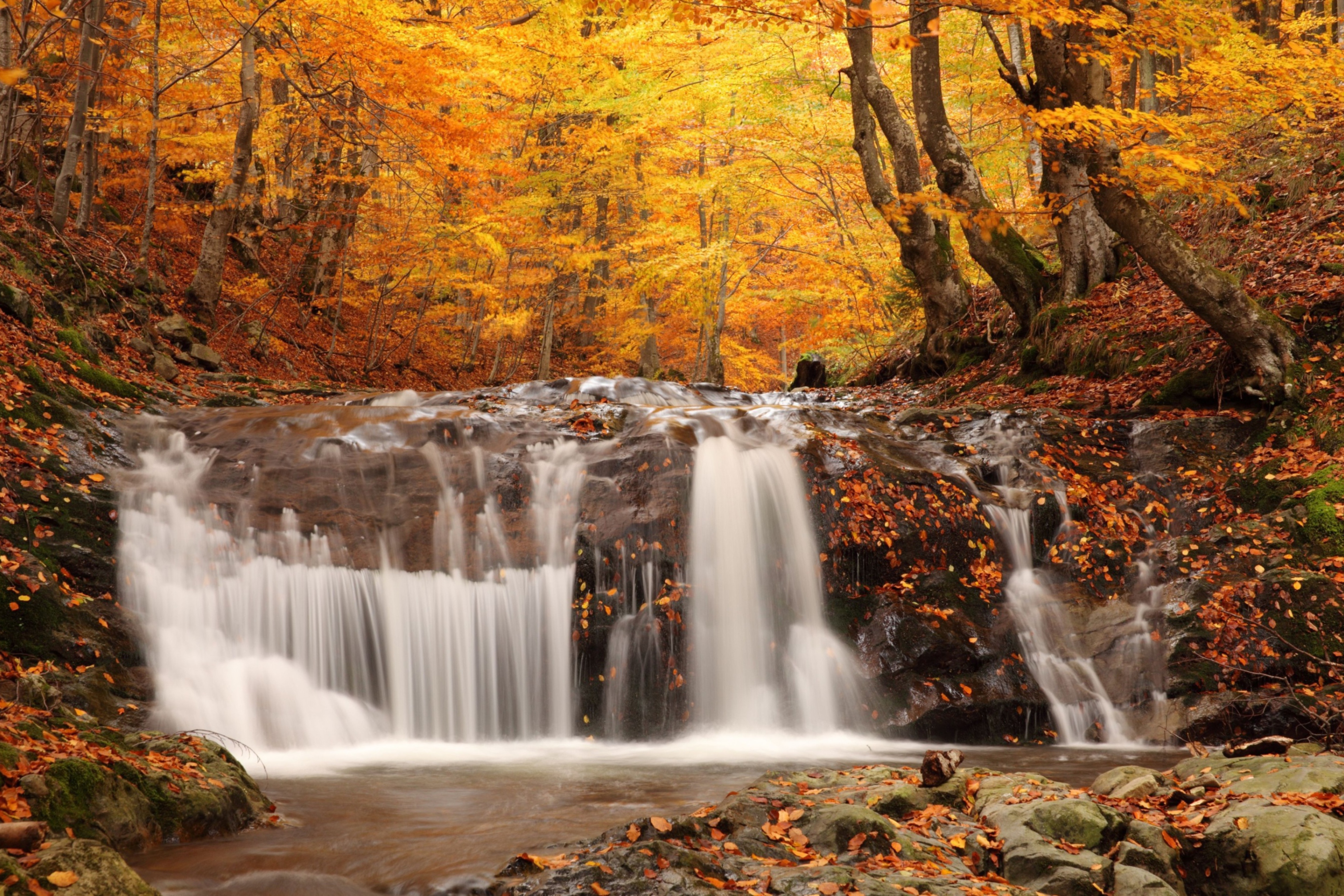Screenshot №1 pro téma Autumn Waterfall 2880x1920