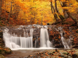 Das Autumn Waterfall Wallpaper 320x240