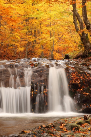 Das Autumn Waterfall Wallpaper 320x480