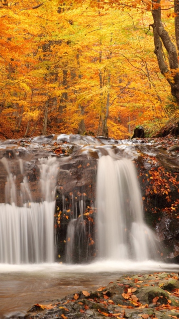 Autumn Waterfall wallpaper 360x640