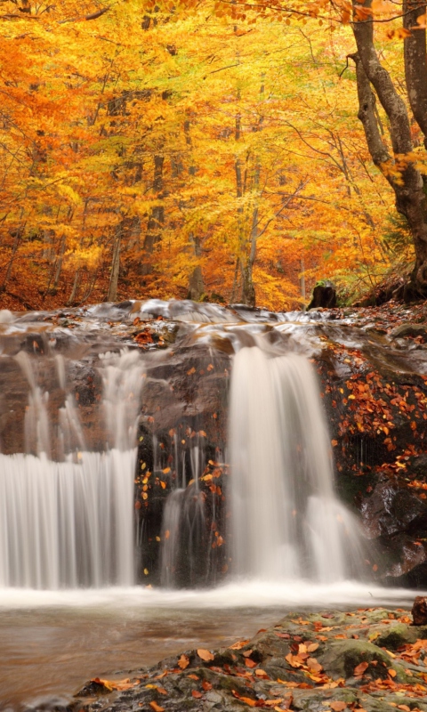 Autumn Waterfall wallpaper 480x800