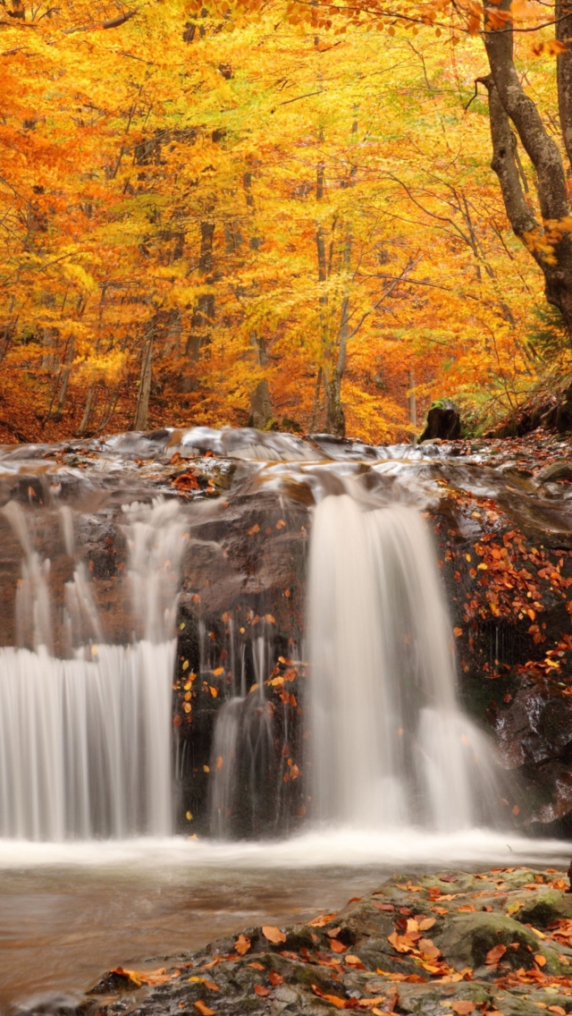 Das Autumn Waterfall Wallpaper 640x1136