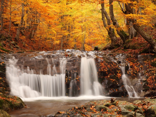 Обои Autumn Waterfall 640x480
