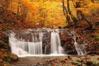 Autumn Waterfall - Obrázkek zdarma 