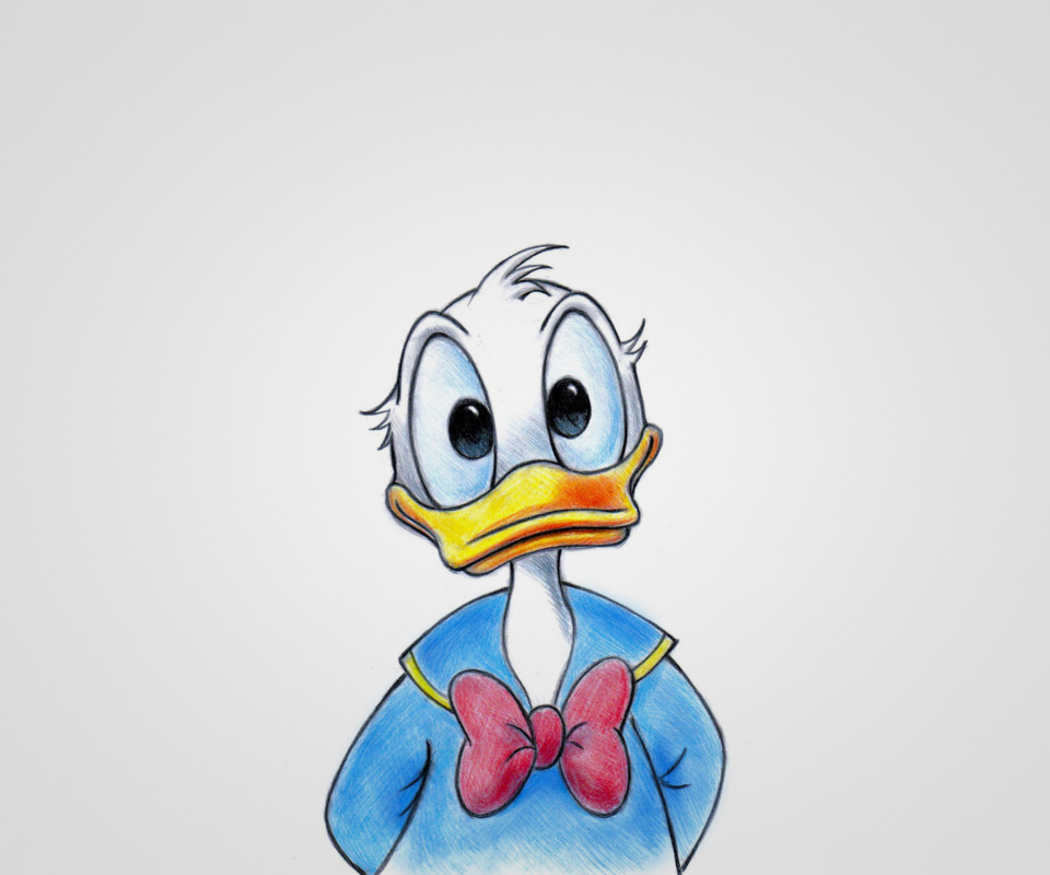 Cute Donald Duck wallpaper 960x800