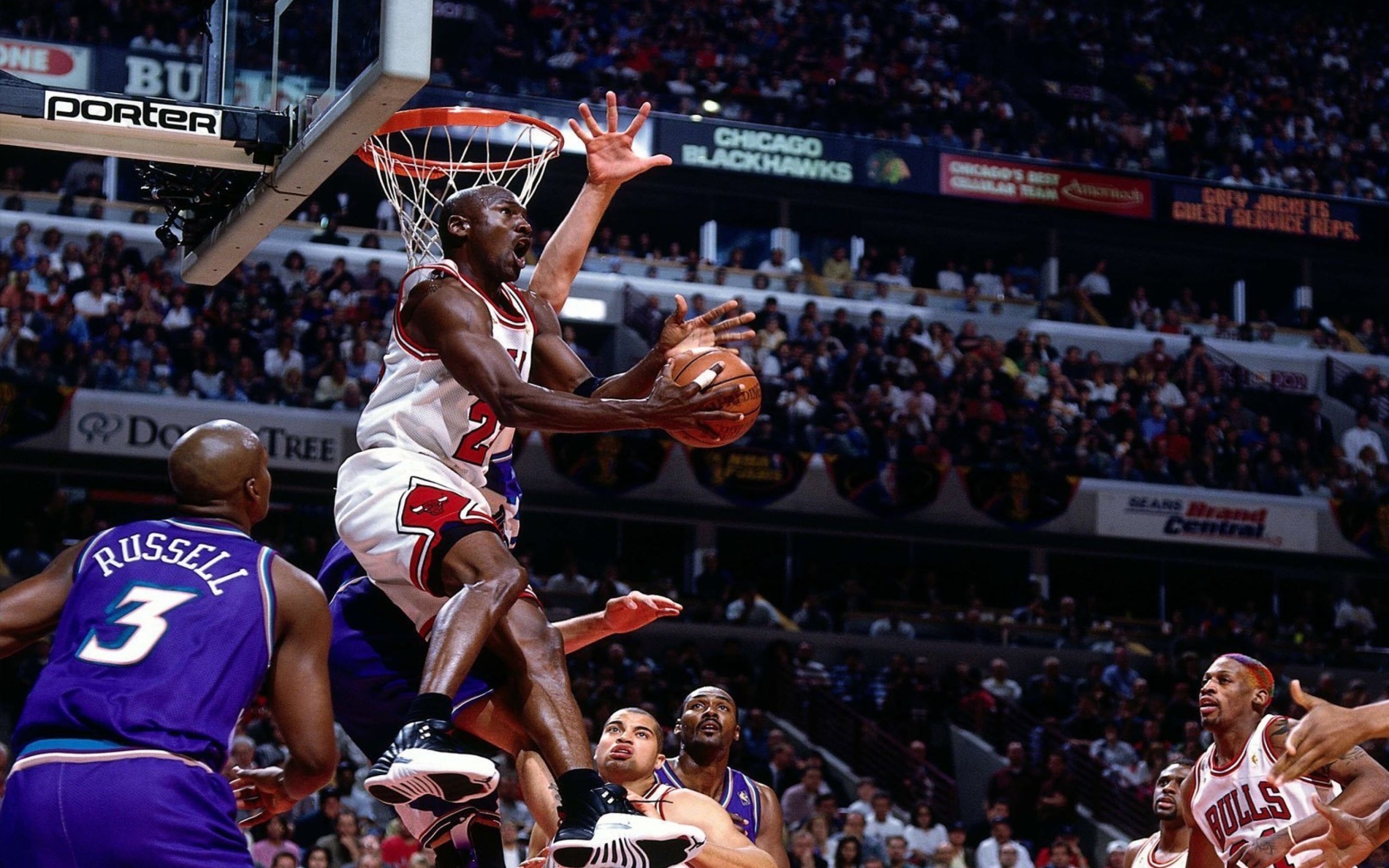 Sfondi Michael Jordan Goal 2560x1600