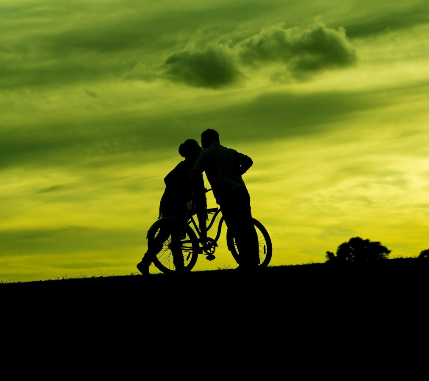 Couple Silhouettes wallpaper 1440x1280