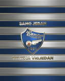 Das FK Željezničar Sarajevo Wallpaper 128x160