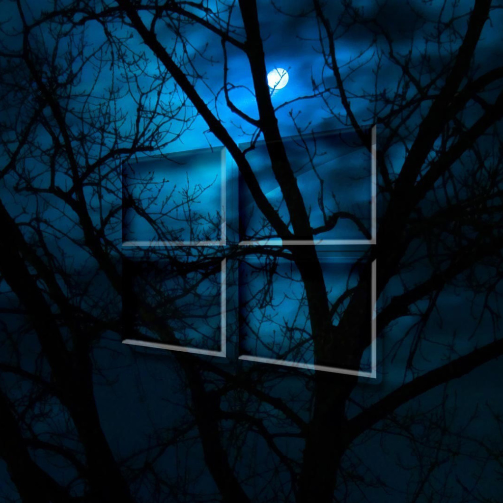 Обои Windows 10 HD Moon Night 1024x1024
