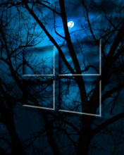 Windows 10 HD Moon Night screenshot #1 176x220