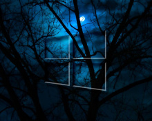 Windows 10 HD Moon Night wallpaper 220x176