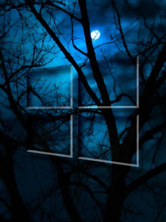 Windows 10 HD Moon Night wallpaper 240x320